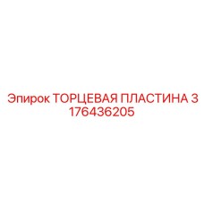 3176436205 ТОРЦЕВАЯ ПЛАСТИНА Epiroc