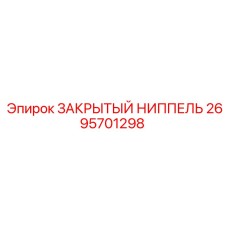 2695701298 ЗАКРЫТЫЙ НИППЕЛЬ Epiroc
