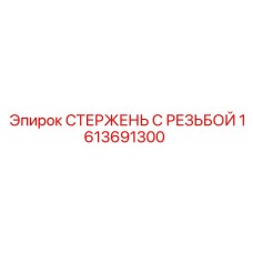 1613691300 СТЕРЖЕНЬ С РЕЗЬБОЙ Epiroc