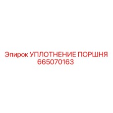665070163 УПЛОТНЕНИЕ ПОРШНЯ Epiroc