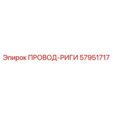 57951717 ПРОВОД-РИГИ Epiroc