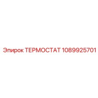 1089925701 ТЕРМОСТАТ Epiroc
