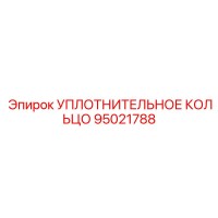 95021788 УПЛОТНИТЕЛЬНОЕ КОЛЬЦО Epiroc