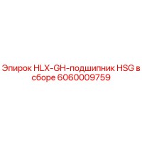6060009759 HLX-GH-подшипник HSG в сборе Epiroc