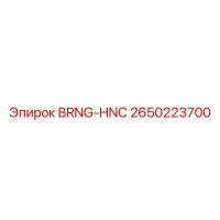 2650223700 BRNG-HNC Epiroc