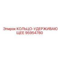 95954780 КОЛЬЦО-УДЕРЖИВАЮЩЕЕ Epiroc