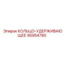 95954780 КОЛЬЦО-УДЕРЖИВАЮЩЕЕ Epiroc