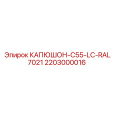 2203000016 КАПЮШОН-C55-LC-RAL7021 Epiroc