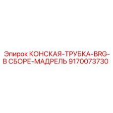 9170073730 КОНСКАЯ-ТРУБКА-BRG-В СБОРЕ-МАДРЕЛЬ Epiroc