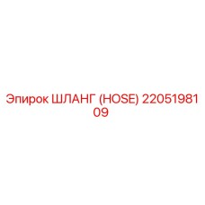 2205198109 ШЛАНГ (HOSE) Эпирок
