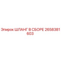 2658381603 ШЛАНГ В СБОРЕ Epiroc