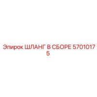 57010175 ШЛАНГ В СБОРЕ Epiroc