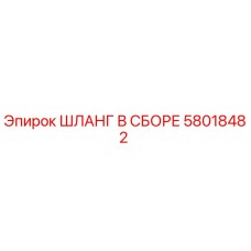 58018482 ШЛАНГ В СБОРЕ Эпирок