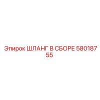 58018755 ШЛАНГ В СБОРЕ Epiroc