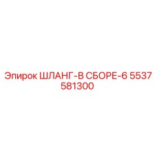 5537581300 ШЛАНГ-В СБОРЕ-6 Epiroc