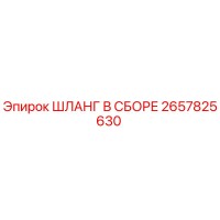 2657825630 ШЛАНГ В СБОРЕ Epiroc