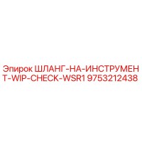 9753212438 ШЛАНГ-НА-ИНСТРУМЕНТ-WIP-CHECK-WSR1 Эпирок