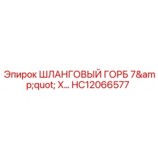 HC12066577 ШЛАНГОВЫЙ ГОРБ 7