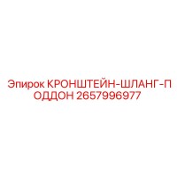 2657996977 КРОНШТЕЙН-ШЛАНГ-ПОДДОН Epiroc