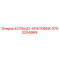 9753204969 КОЛЬЦО-ХРАПОВИК Epiroc