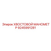 9245991281 ХВОСТОВОЙ МАНОМЕТР Epiroc