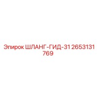 2653131769 ШЛАНГ-ГИД-31 Epiroc