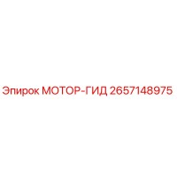 2657148975 МОТОР-ГИД Epiroc