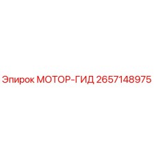 2657148975 МОТОР-ГИД Epiroc