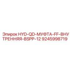 9245998719 Гидравлическая быстроразъемная муфта FF, внутренняя резьба BSPP 12 Epiroc