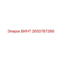 2650787266 ВИНТ Epiroc