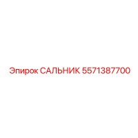 5571387700 САЛЬНИК Epiroc