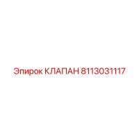 8113031117 КЛАПАН Epiroc