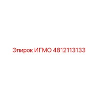 4812113133 ИГМО Epiroc