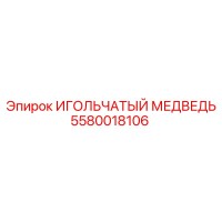 5580018106 ИГОЛЬЧАТЫЙ МЕДВЕДЬ Epiroc