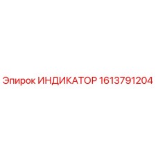 1613791204 ИНДИКАТОР Epiroc
