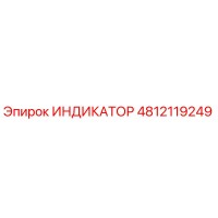 4812119249 ИНДИКАТОР Epiroc
