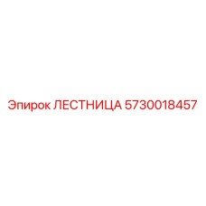 5730018457 ЛЕСТНИЦА Epiroc