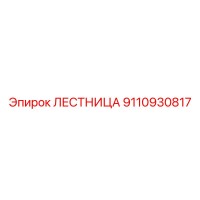 9110930817 ЛЕСТНИЦА Epiroc