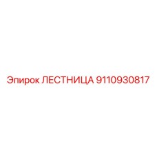 9110930817 ЛЕСТНИЦА Epiroc