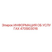 470SI03016 ИНФОРМАЦИЯ ОБ УСЛУГАХ Epiroc