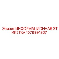 1079991907 Информационная этикетка Epiroc