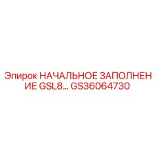 GS36064730 НАЧАЛЬНОЕ ЗАПОЛНЕНИЕ GSL8 Epiroc