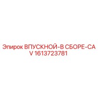 1613723781 ВПУСКНОЙ-В СБОРЕ-CAV Epiroc