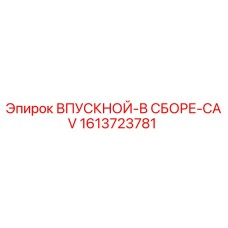 1613723781 ВПУСКНОЙ-В СБОРЕ-CAV Epiroc
