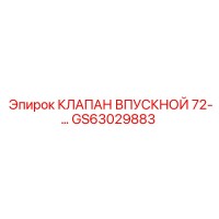 GS63029883 КЛАПАН ВПУСКНОЙ 72 Epiroc