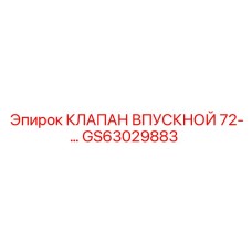 GS63029883 КЛАПАН ВПУСКНОЙ 72 Epiroc