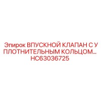 HC63036725 Впускной клапан с уплотнительным кольцом Epiroc