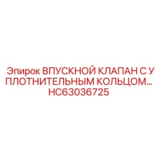 HC63036725 Впускной клапан с уплотнительным кольцом Epiroc