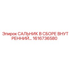 1616736580 САЛЬНИК В СБОРЕ ВНУТРЕННИЙ Epiroc