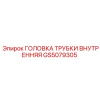 GS5079305 ГОЛОВКА ТРУБКИ ВНУТРЕННЯЯ Эпирок